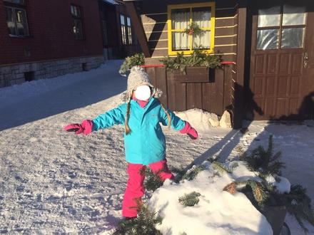 Lyžiarska bunda, alpine pro,116