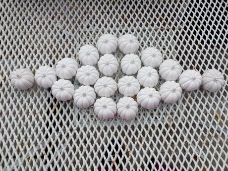 Vianočné a celoročné dekorácie,