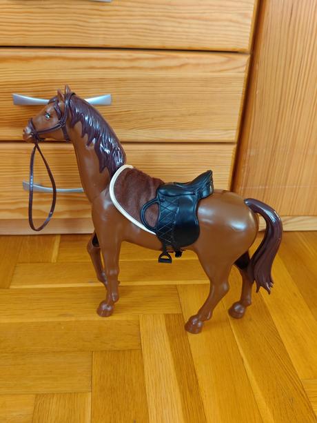Konik, 