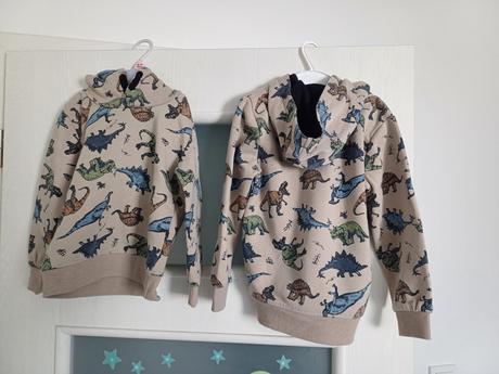 Dinosaurus mikina, takko,104