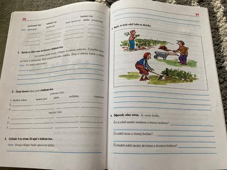 Pracovný zošit zo slov. jazyka pre 9. ročník šzš,