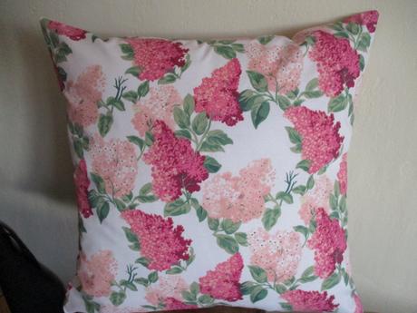 Obliečka hortenzia, 