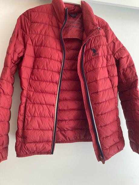 Paperova bunda us polo, u.s. polo assn.,34