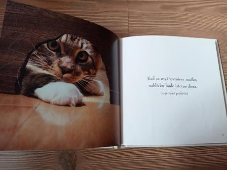 Keby mačky rozprávali, keby psy rozprávali, 
