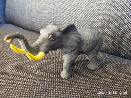 Realist.zvieratka zoo, 