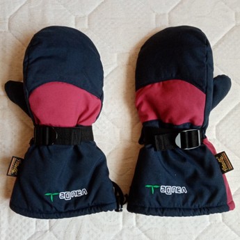 Lyžiarske rukavice, 