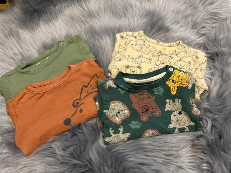 Bodynko, coccodrillo,80