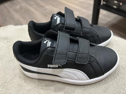 Botasky puma 32, puma,32