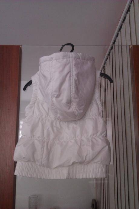 Biela vesticka, st. bernard,104