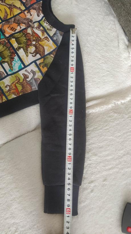 Suprava dinosaury, 98