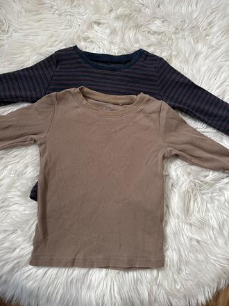 Rastúce natelniky lindex, lindex,92