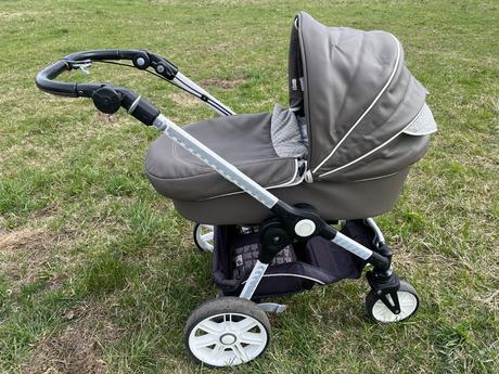 Kočik teutonia, teutonia,teutonia élegance