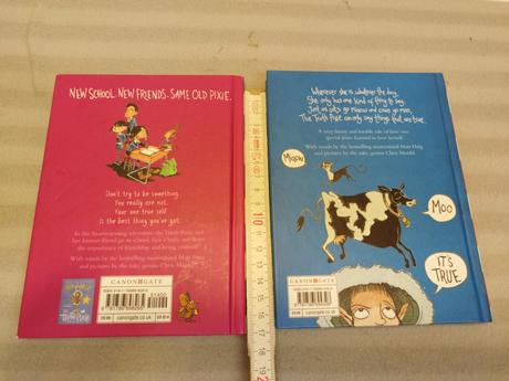 Matt haig - the truth pixie su23, 