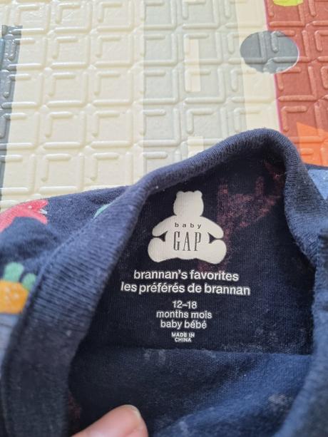 Dinosaurova suprava gap, gap,74