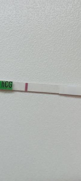 Čo si myslíte o tomto teste?