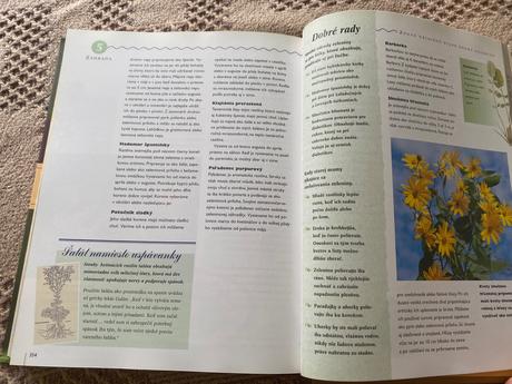 Nádherná veľká kniha rady našej babičky,