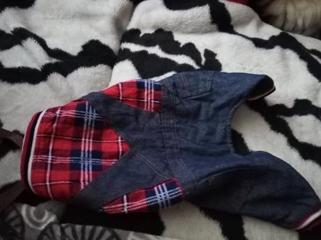 Oblecenie pre psíka,