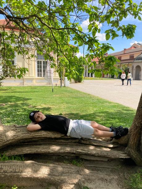 Tričko s lebkami 134/140, lindex,134