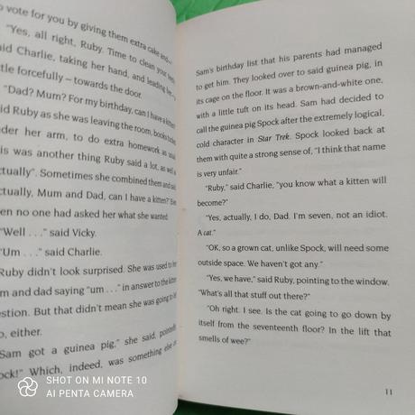 David baddiel birthday boy 400 stran, 