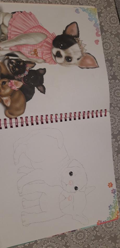 Chi chi love chivava + malá chivava + knižka, 