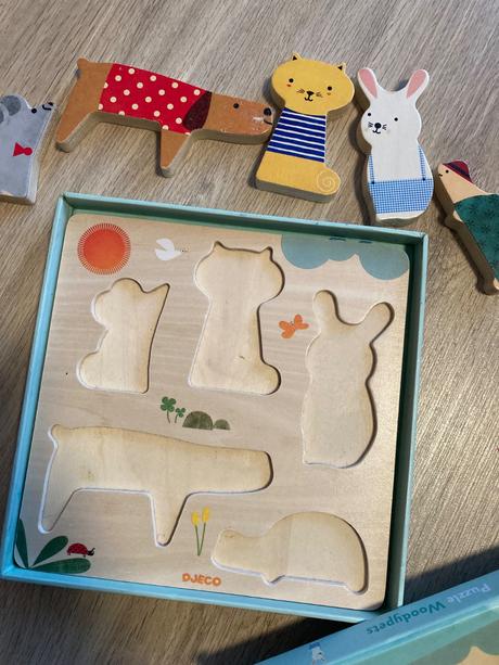 Djeco drevená vkladačka, 