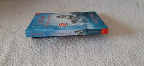 Holly webb-lotka a vianoce so sobom, 