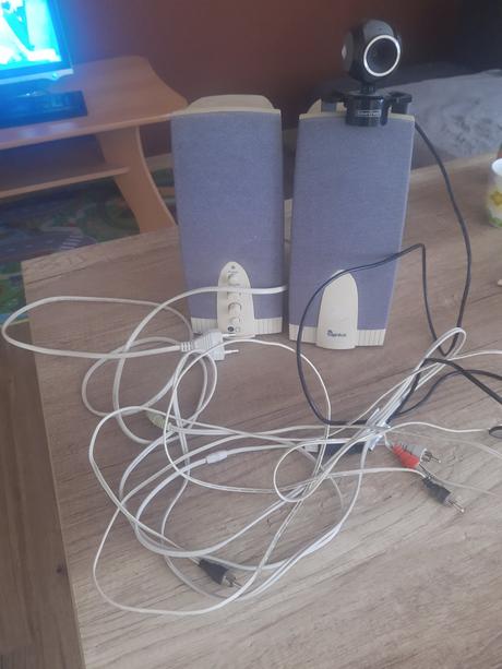 Reproduktory, genius