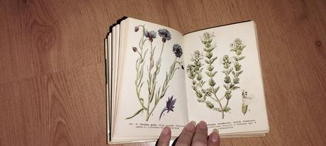 Liečivé rastliny a lesné plody, 