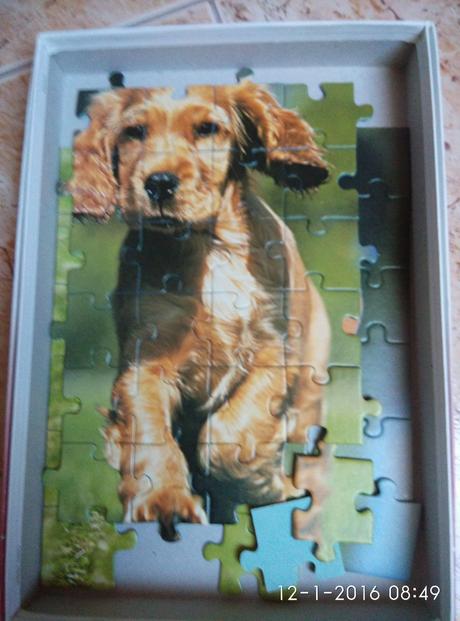 Puzzle psík komplet, 