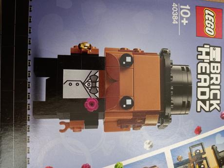 Lego nevesta a ženích,