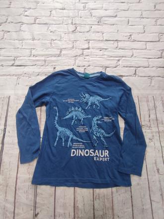 Tričko s dinosaurami little kids, 128