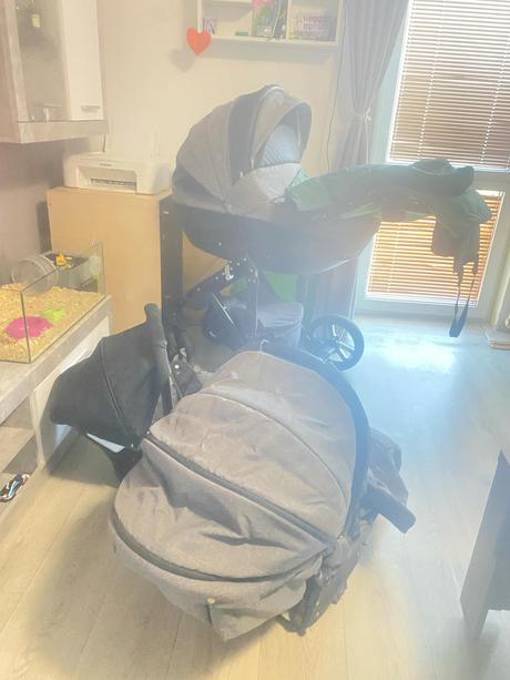 Terojkombinacia gusio florencia, gusio,gusio florencia (florencja)