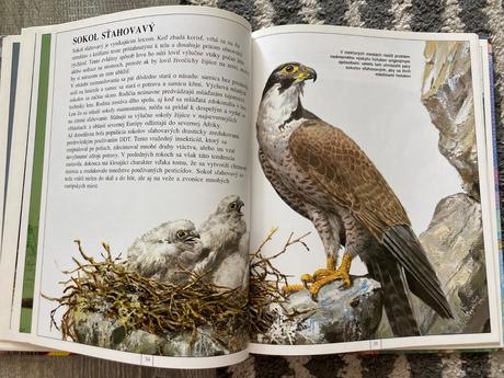 Zvieratá európy-prvé vyd.1997, 