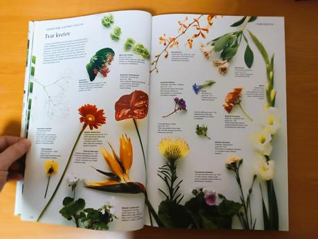 Príjemný život s kvetinami, 