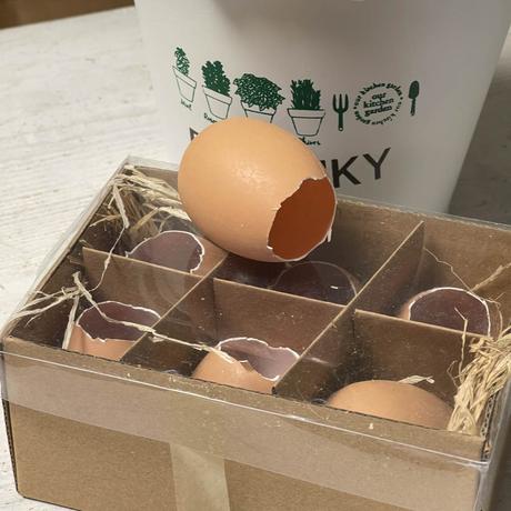 Plastové vajíčka na aranžovanie - set 6 kusov, 