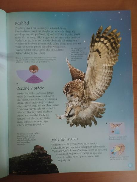 Svet zvierat (2005), 