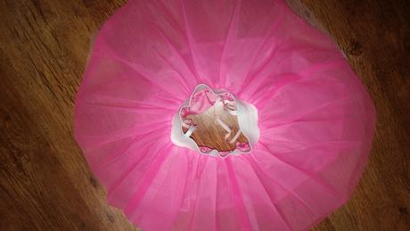 Komplet s tutu sukňou, 86 / 98 / 116 / 122