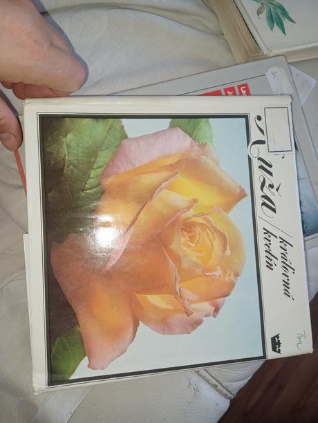 3x kniha,ruze,skalický,tsunami,