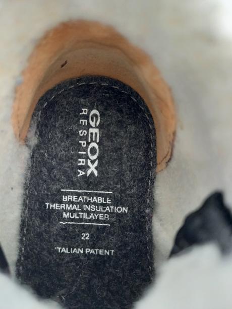 Čižmy geox, geox,22