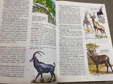 Retro stará krásna kniha svet živočíšnej ríše 1968,