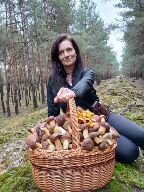 Sušené lesné hríby, 