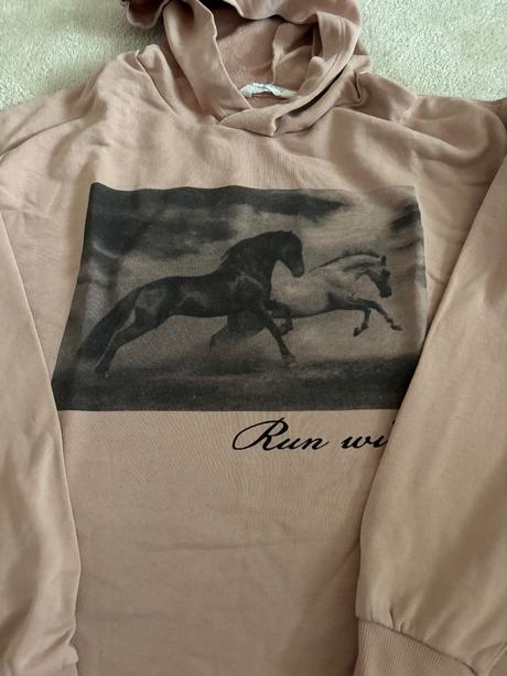 Mikina kôň, h&m,164