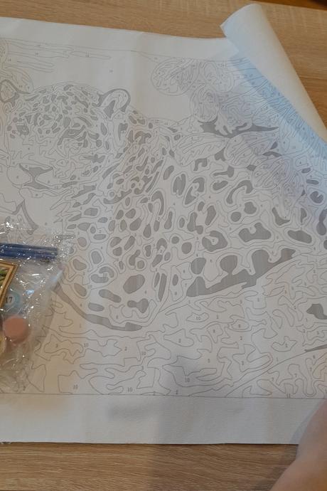 Maľovanie podľa čísel,  2ks ob, 