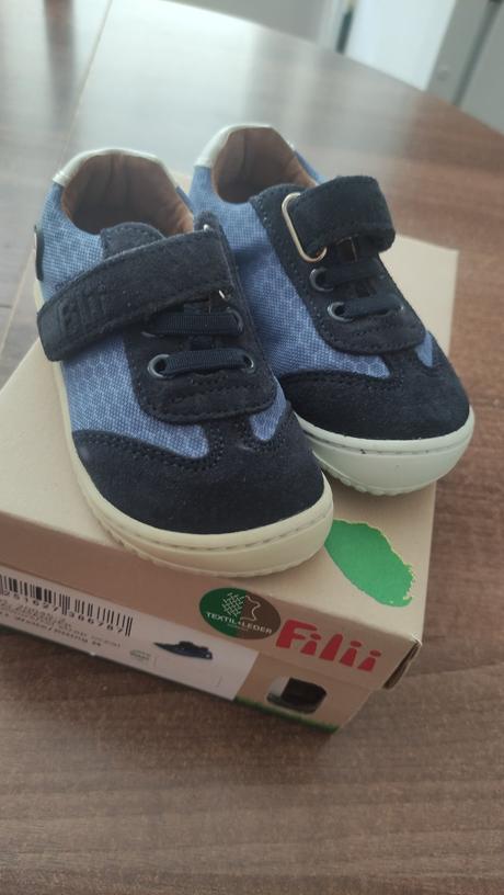 Fili salamander 21, filii,21