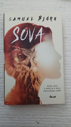 Samuel bjork - sova,