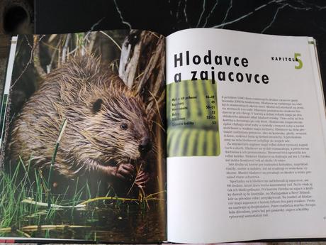 Cicavce, 