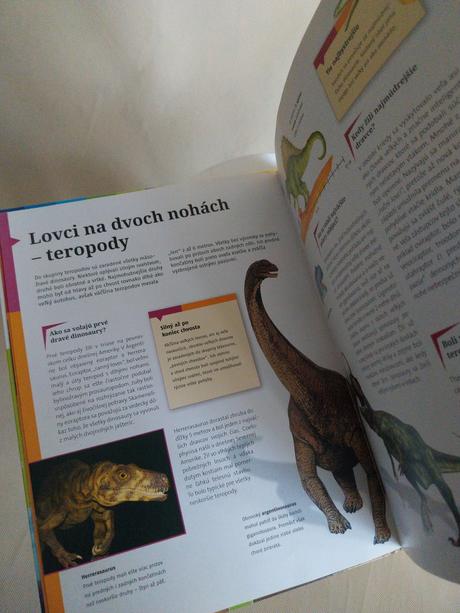 Dino, 