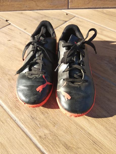 Halovky puma č.33, puma,33