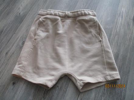 Pudlové kraťasy, george,116