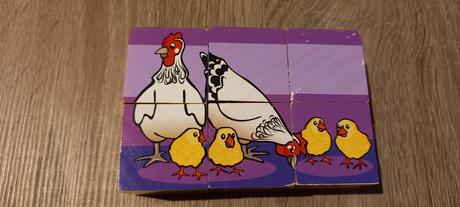 Obrázkové kocky eichhorn, 